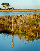 Gordon's Pond 2012